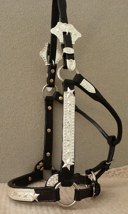 Western show halters by Billy Royal and Kathys Show halters