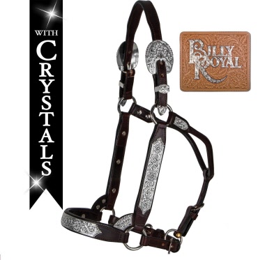 Western show halters by Billy Royal and Kathys Show halters, Western World  Saddlery, Caboolture, Brisbane.