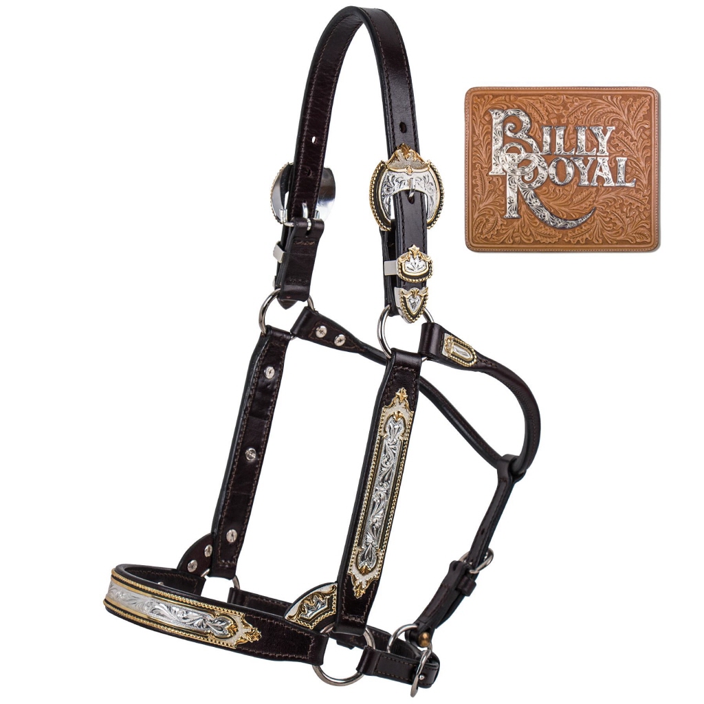 Billy Royal® Scalloped Silver Western Horse Show Halter