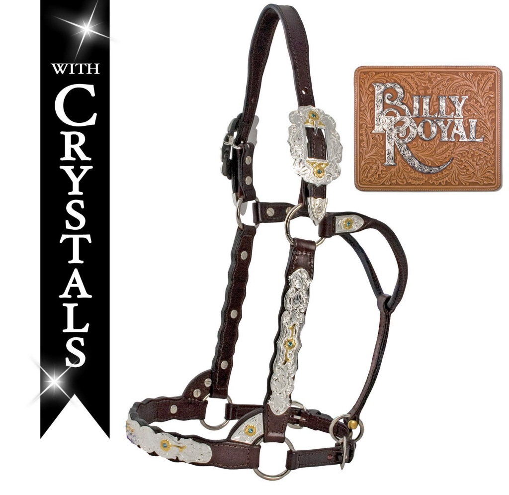 Billy Royal Pure & Simple Show Halters - Free Delivery - Western